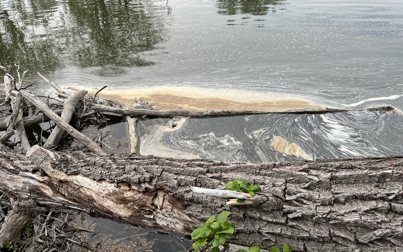 the Huron River seen from a bridge